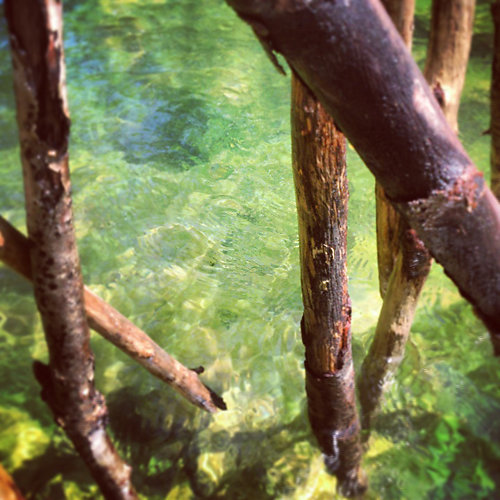 stream