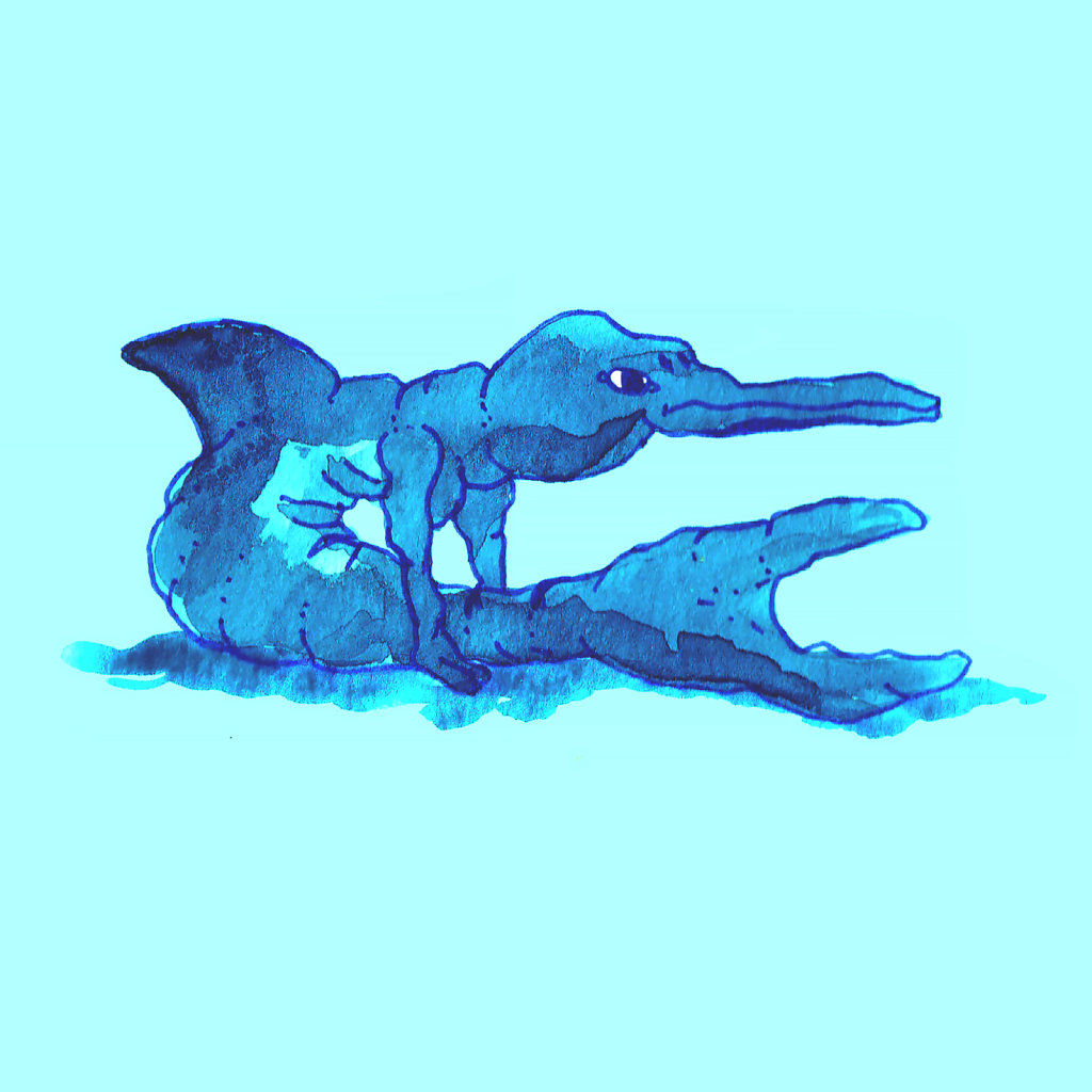 Cetacea-Phlegma-IG.jpg