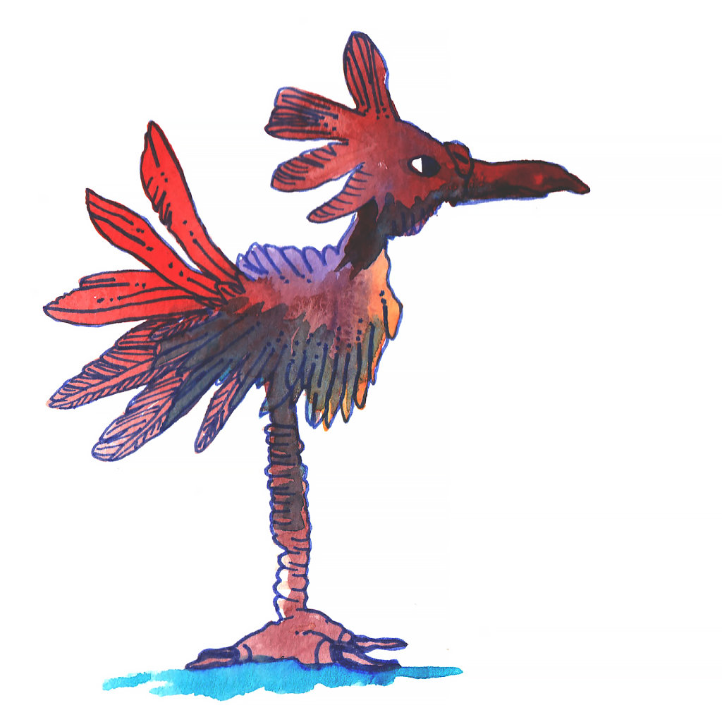 Gallus-Oriensis.jpg