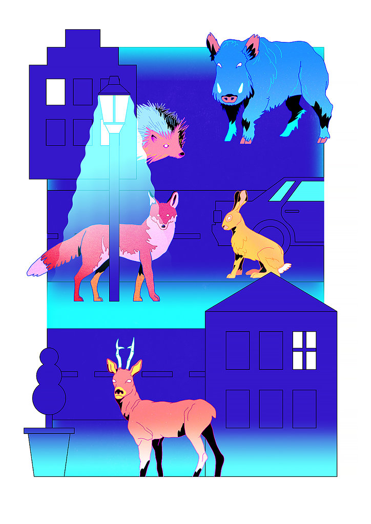 City Animals